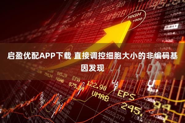 启盈优配APP下载 直接调控细胞大小的非编码基因发现