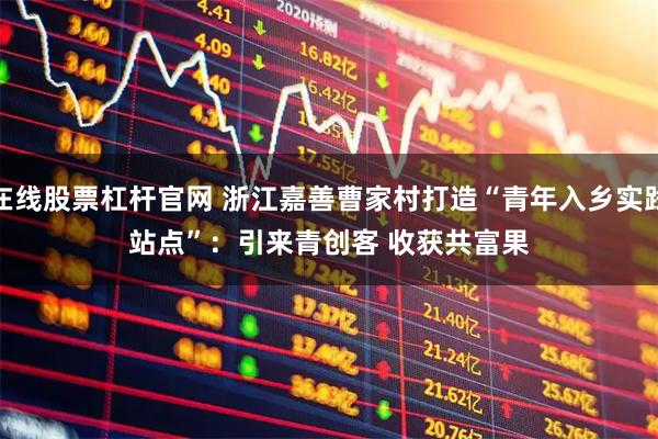 在线股票杠杆官网 浙江嘉善曹家村打造“青年入乡实践站点”：引来青创客 收获共富果